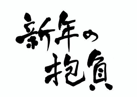 新年の抱負.jpeg