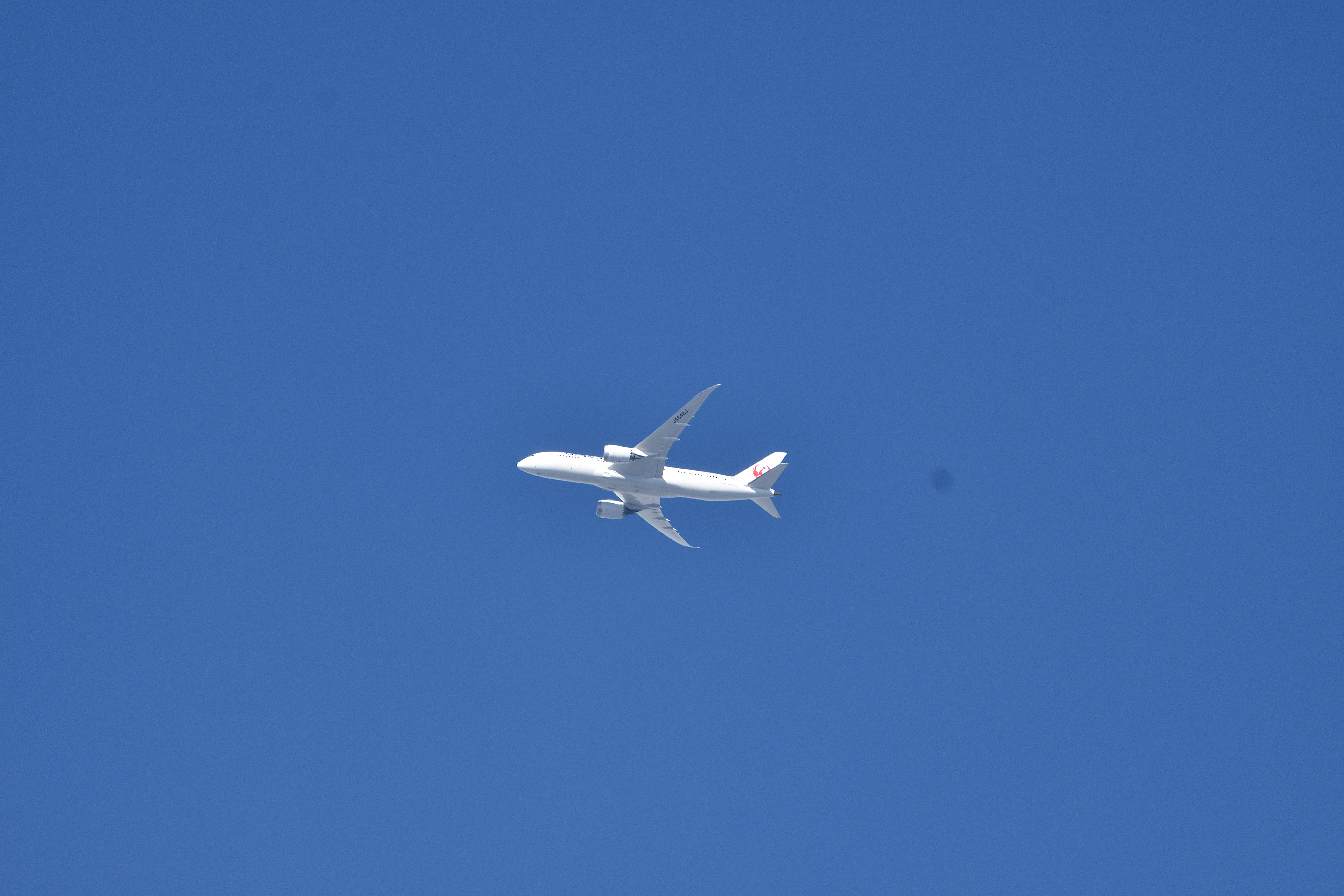 JAL_01.JPG