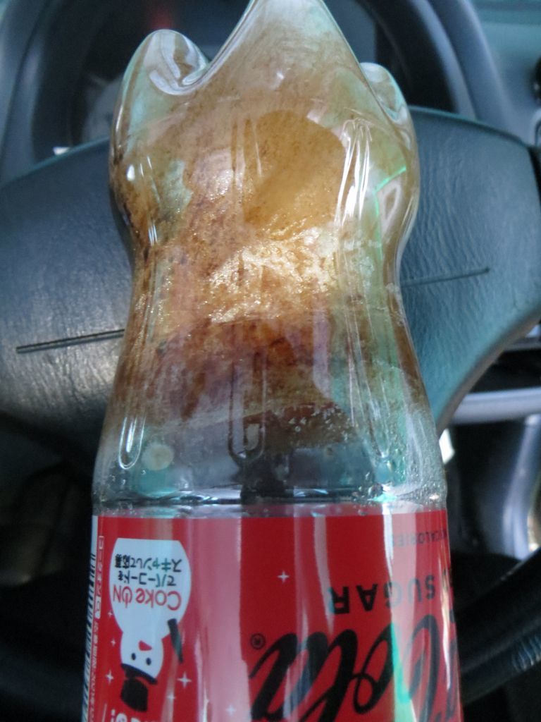 コーラも凍る街角 掲示板 マイネ王