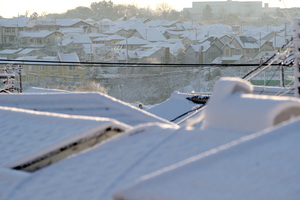 朝の景色雪.jpg