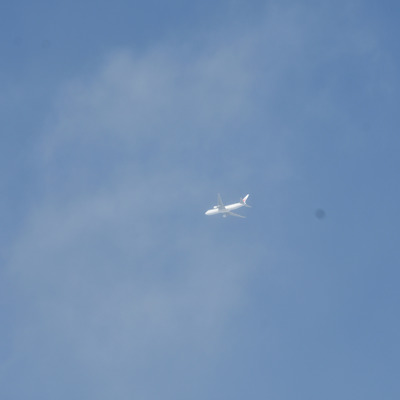 JAL.JPG