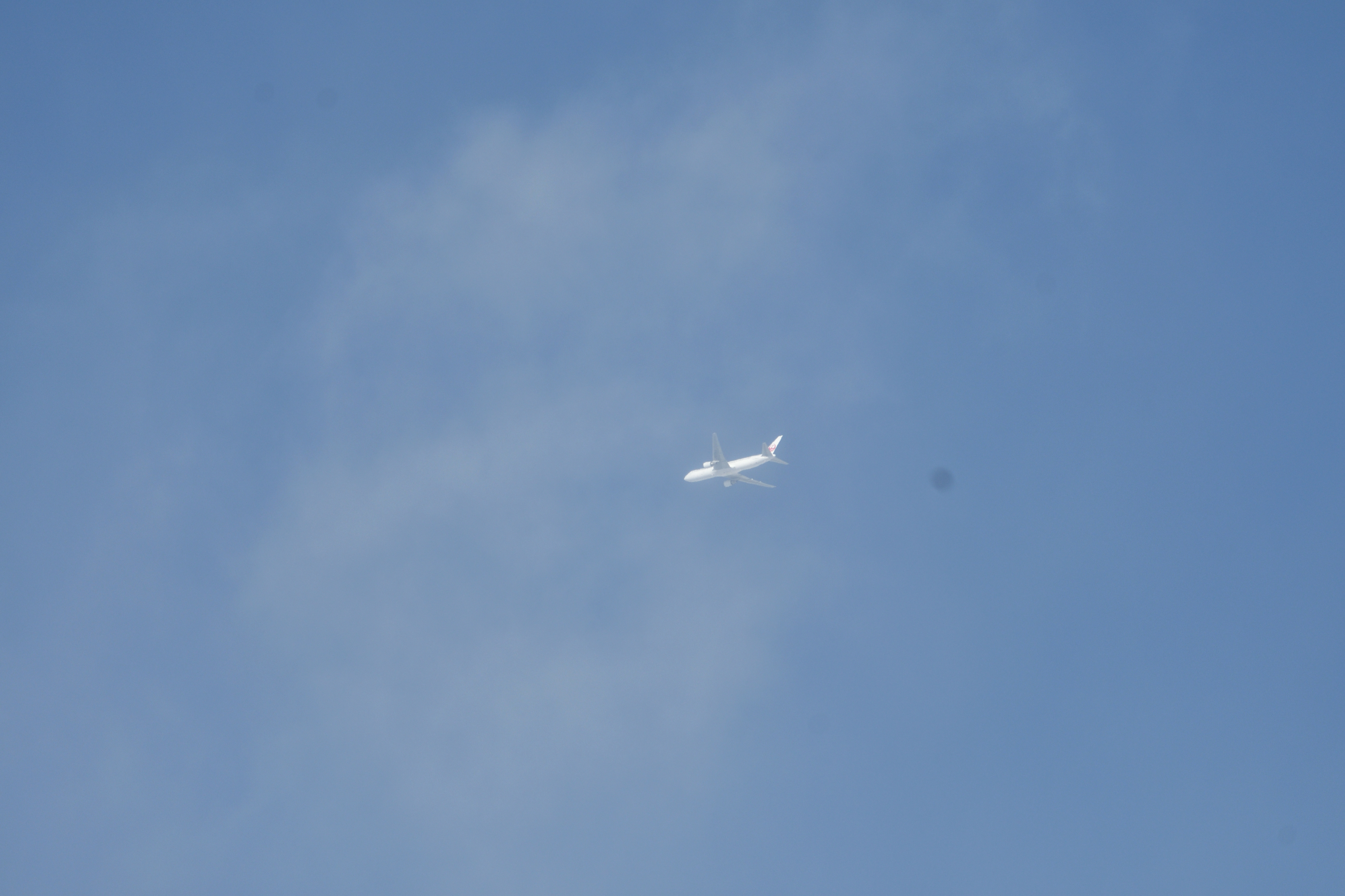JAL.JPG