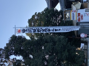 02BD74D8-E213-4EC8-88AD-D0FEF8352707.jpeg