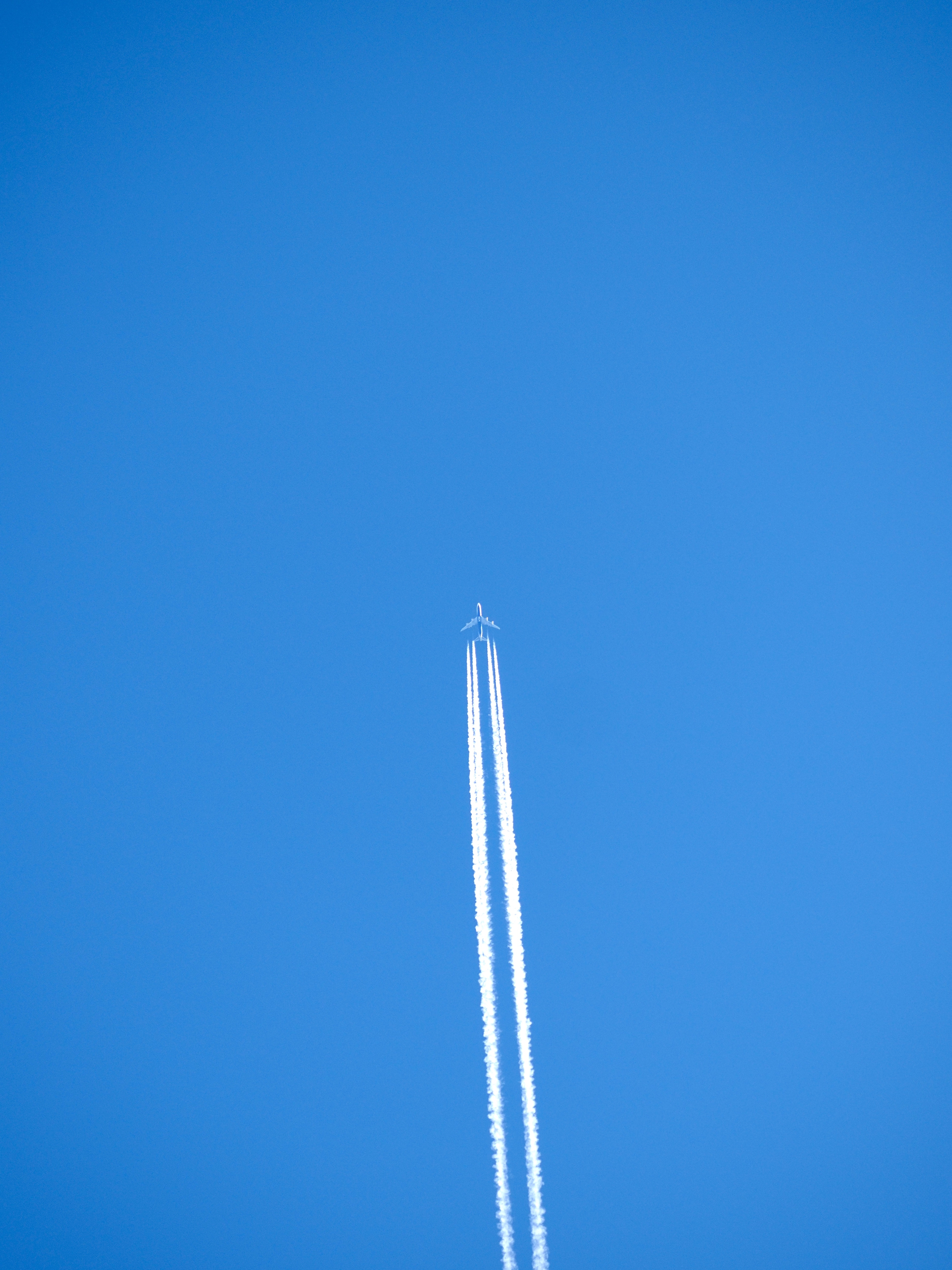 日本貨物航空_(2).jpg