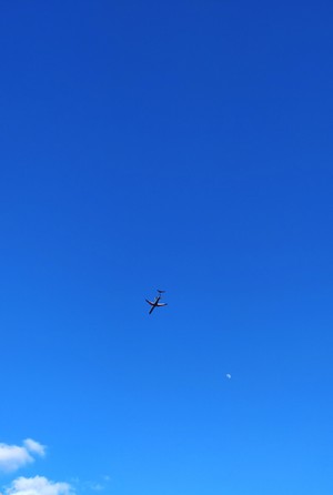 DSC_0067_3.JPG