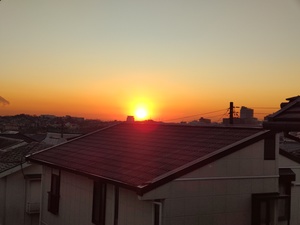 日の出.jpg