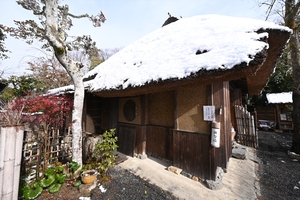 落柿舎014.JPG