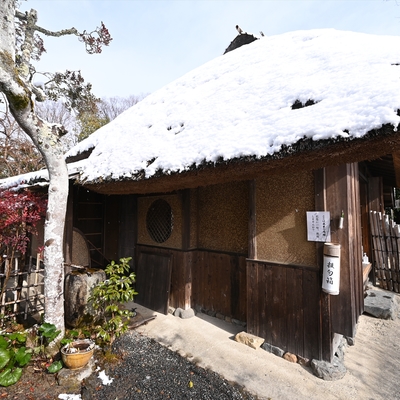落柿舎014.JPG