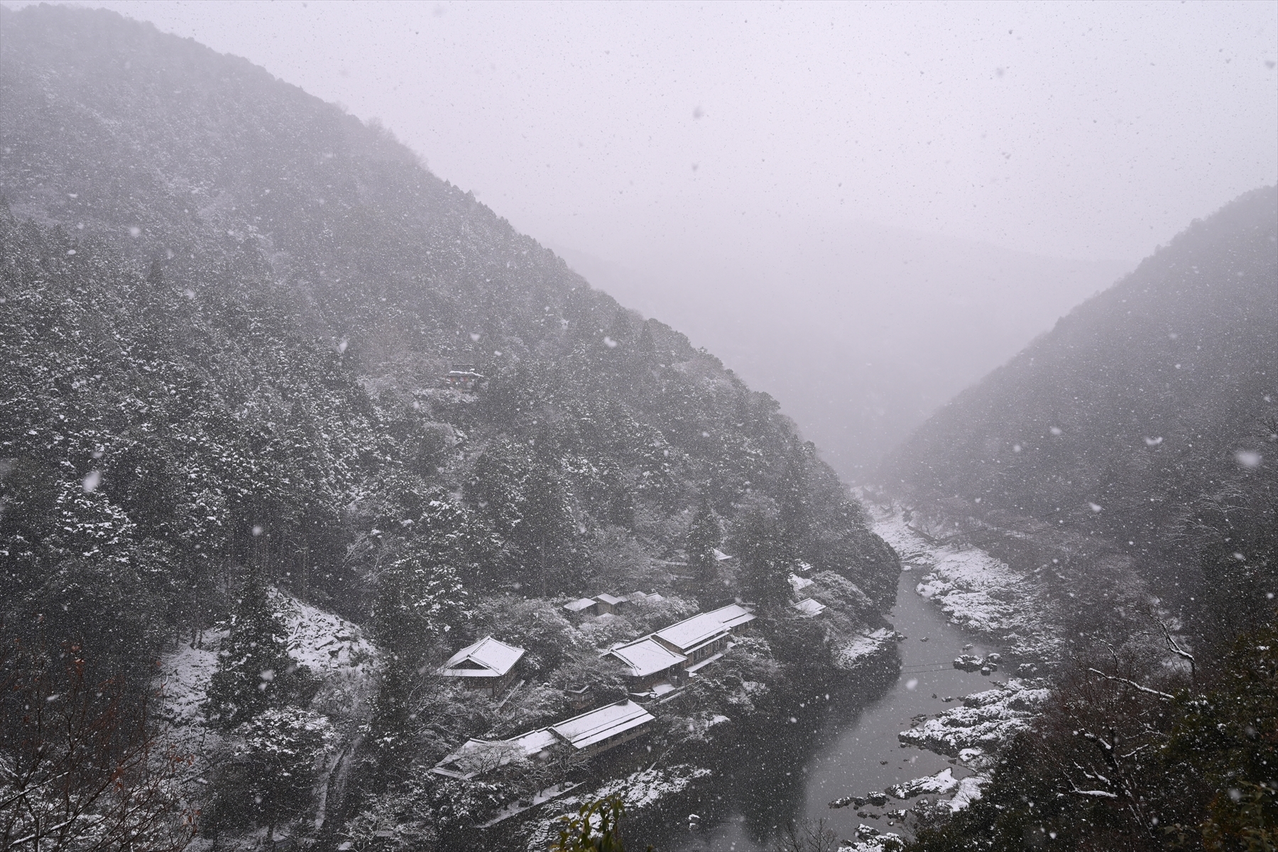 雪の嵐山035.JPG