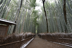 雪の嵐山033.JPG