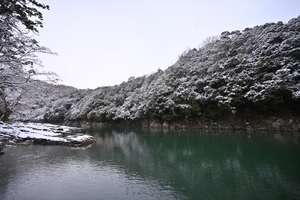 雪の嵐山020.JPG