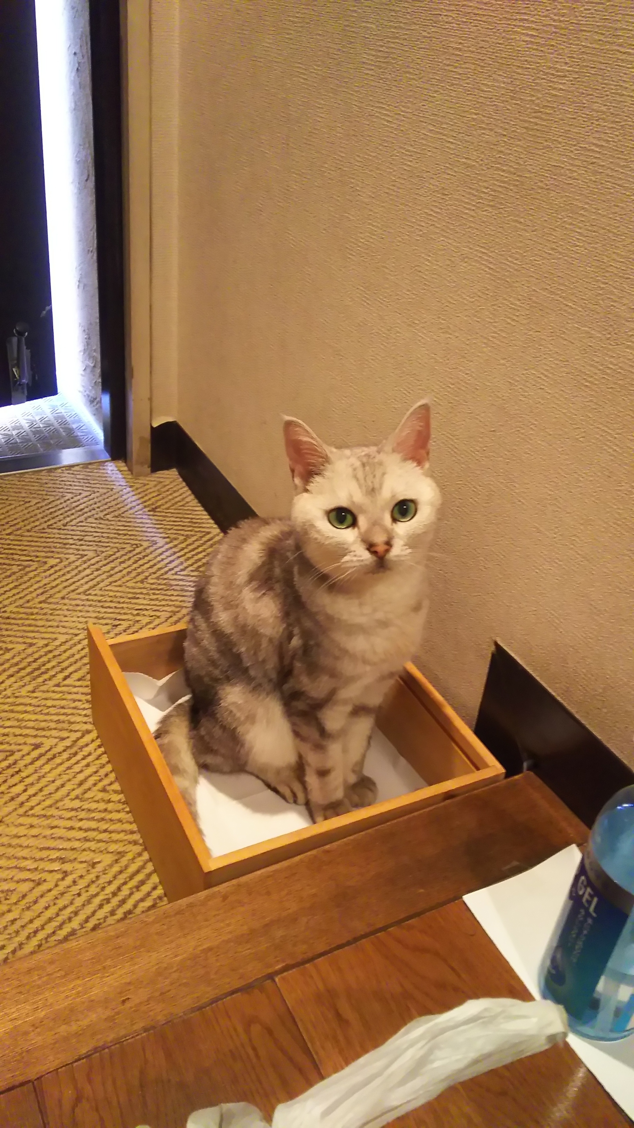 DSC_4302.JPG