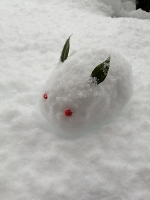 雪うさぎ.jpg