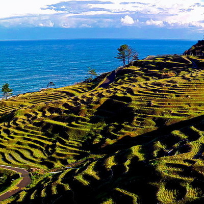 白米千枚田IMG_20171117_091216-02.jpg