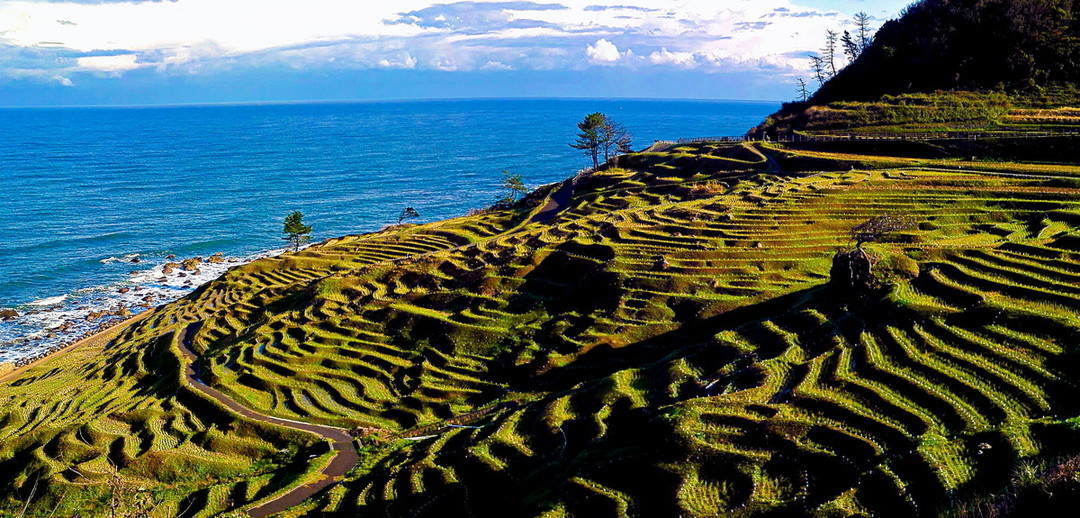 白米千枚田IMG_20171117_091216-02.jpg