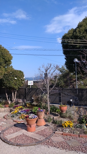 DSC_0084.JPG