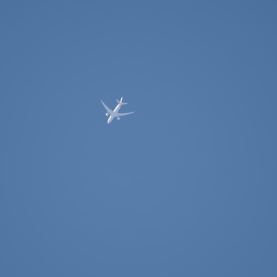 jal.jpg