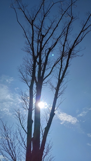 DSC_0086.JPG