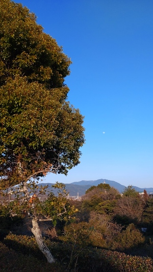 DSC_0090.JPG