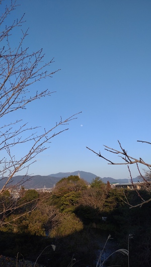 DSC_0091.JPG