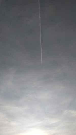 DSC_0144.JPG