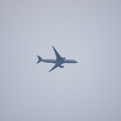 jal.jpg