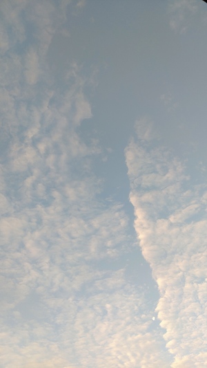 DSC_0147.JPG