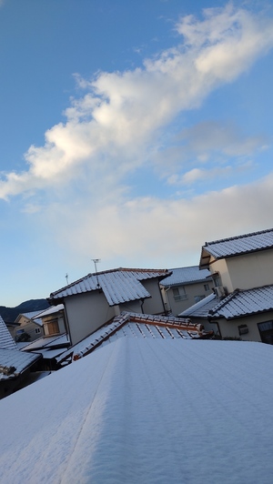 DSC_0120.JPG