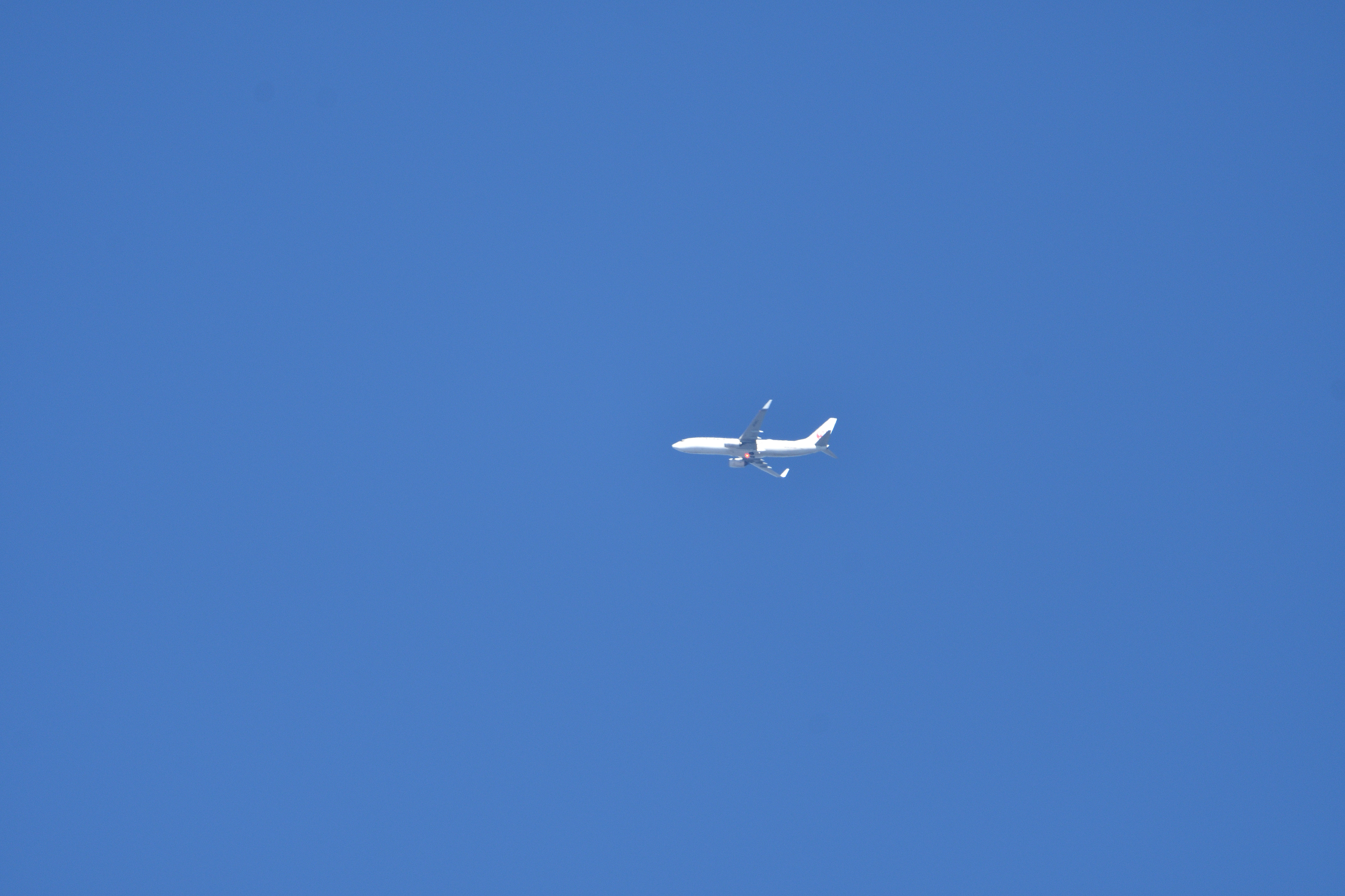 jal.JPG