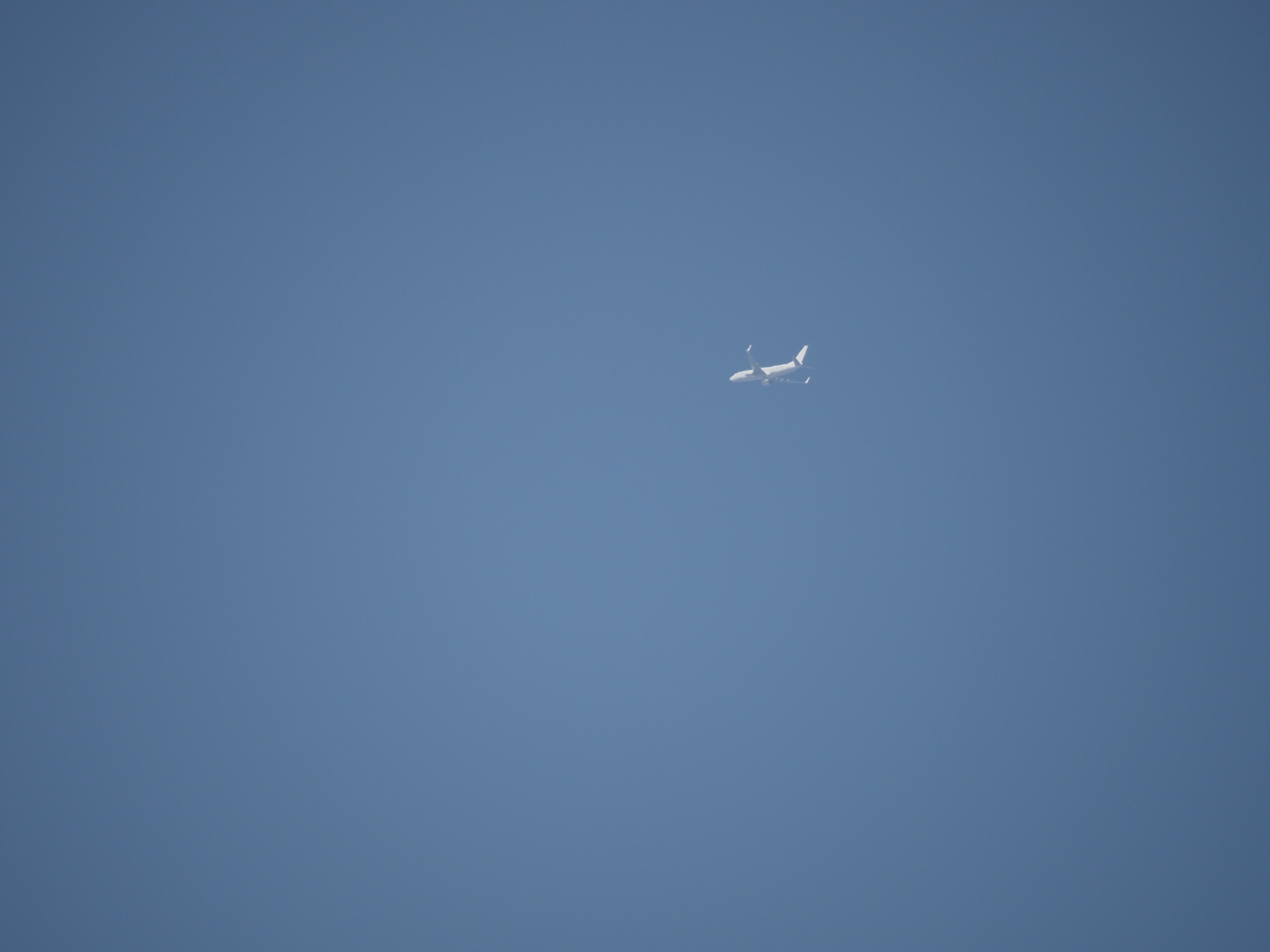 飛行機.jpg