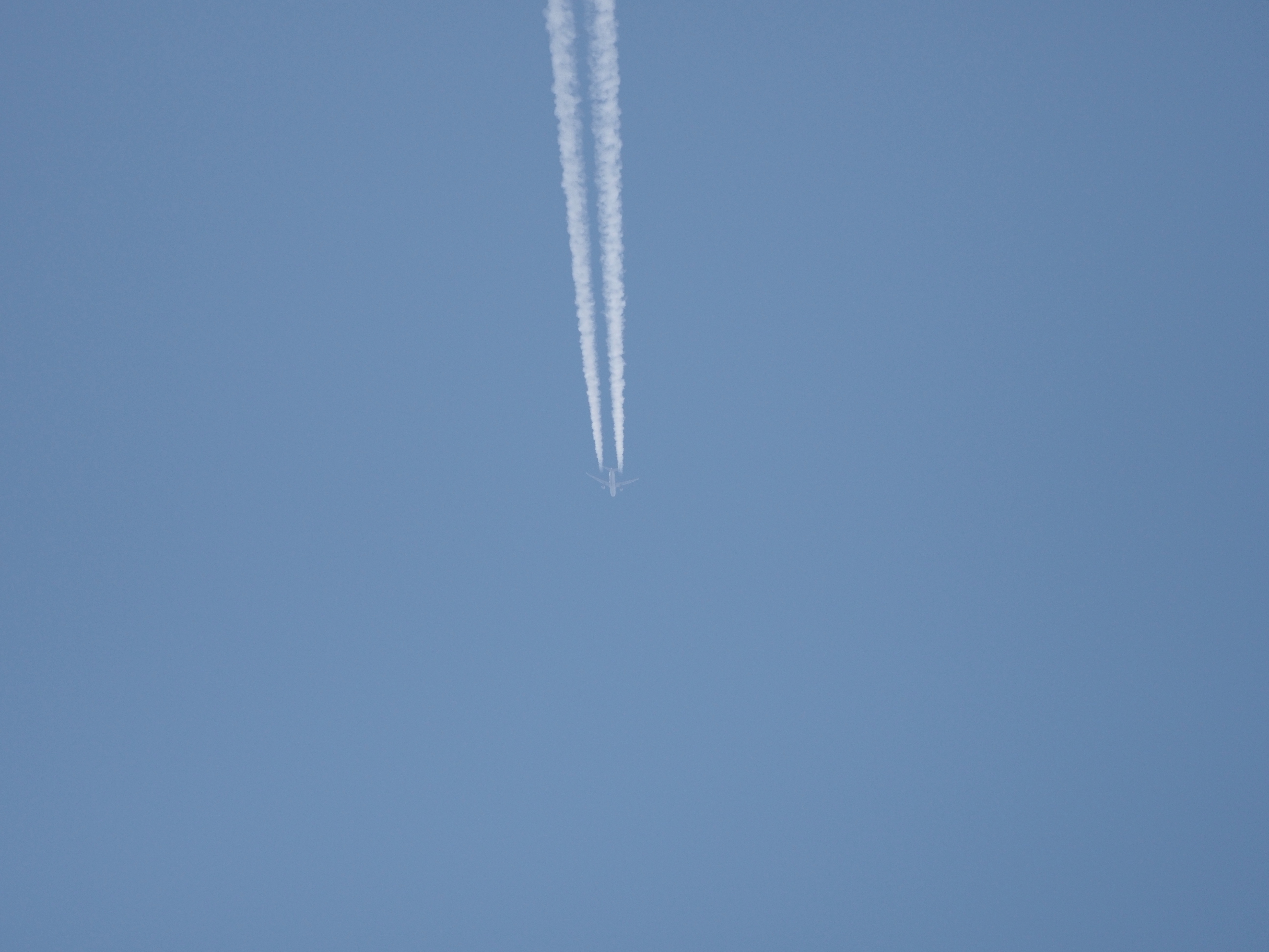 飛行機.jpg
