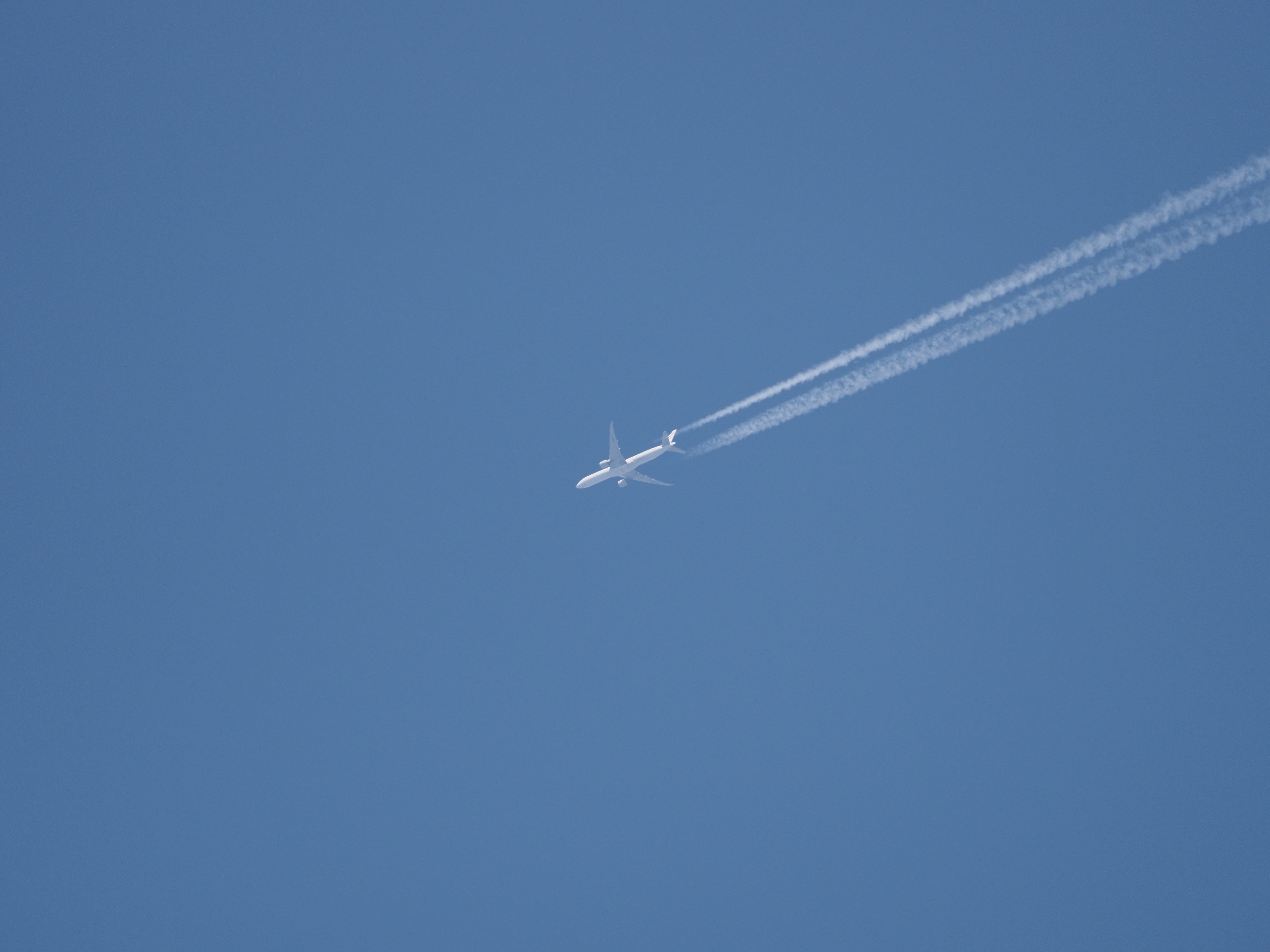 飛行機.jpg
