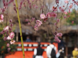 車差席神社番外.JPG