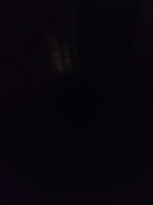 16472953895667705552572797722433.jpg