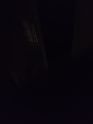 16472954363669123713195958966667.jpg