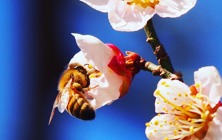 BAEC24FB-AF5B-4A2D-A83E-659DAC46BF5F.jpeg