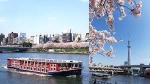 event-cruise-hanami.jpg