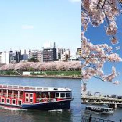 event-cruise-hanami.jpg