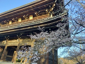 IMG20220327172158.jpg