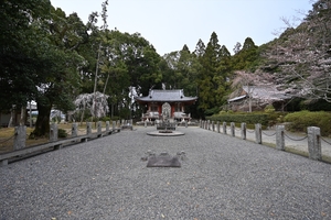 醍醐寺120.JPG