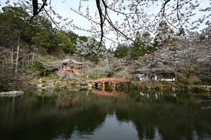 醍醐寺113.JPG