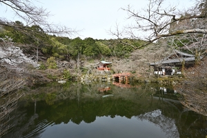 醍醐寺094.JPG