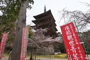 醍醐寺090.JPG