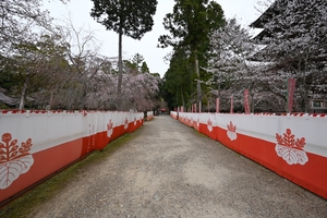 醍醐寺089.JPG