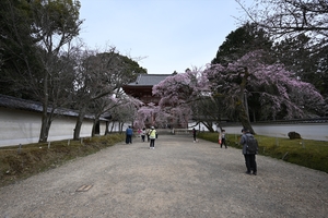 醍醐寺065.JPG