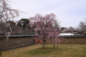 醍醐寺053.JPG