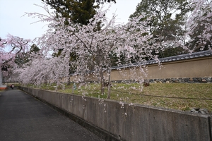 醍醐寺049.JPG