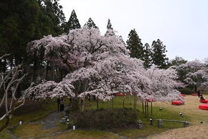 醍醐寺034.JPG