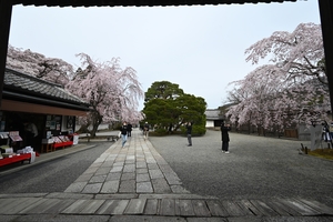 醍醐寺004.JPG