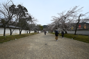 醍醐寺003.JPG